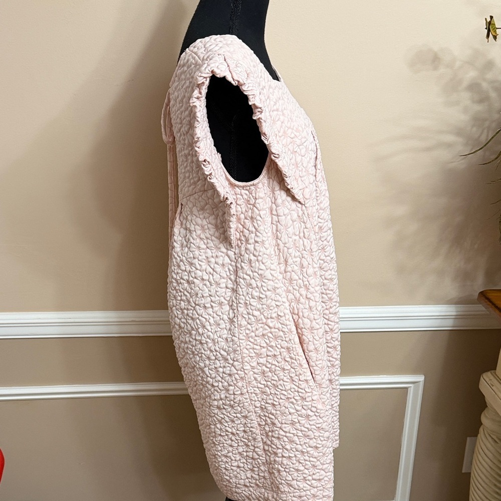 Pale Pink Textured Ruffled Sleeve Dress - Picture 8 of 16